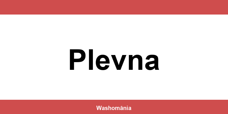 Spălătorie Auto NON-STOP Plevna – contact și telefon