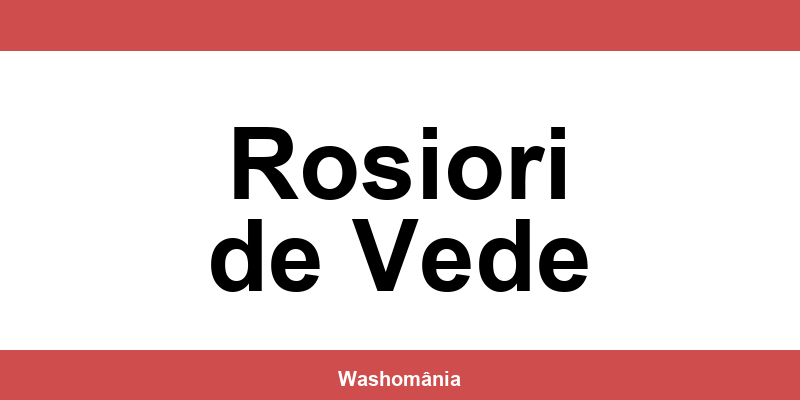 Spălătorie Auto NON-STOP Rosiori de Vede – contact și telefon