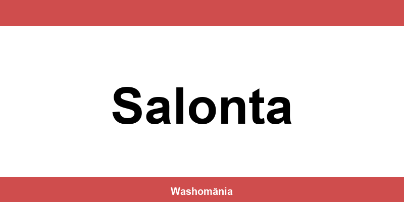 Spălătorie Auto NON-STOP Salonta – contact și telefon