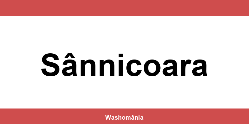 Spălătorie Auto NON-STOP Sânnicoara – contact și telefon