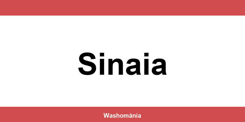 Spălătorie Auto NON-STOP Sinaia – contact și telefon