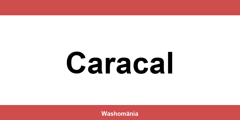Spălătorie Auto NON-STOP Caracal – contact și telefon