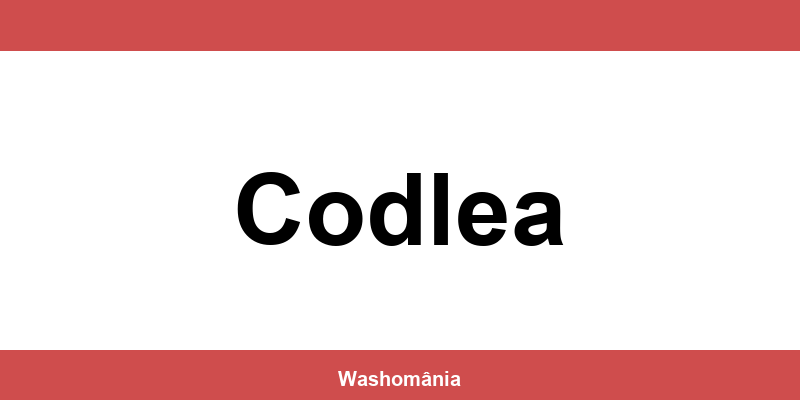 Spălătorie Auto NON-STOP Codlea – contact și telefon
