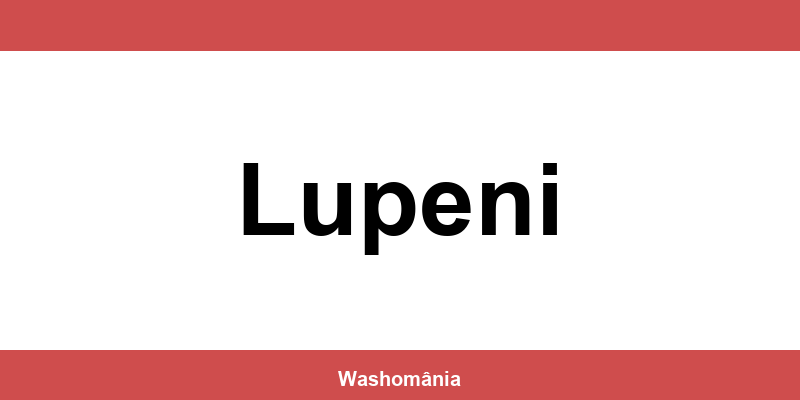 Spălătorie Auto NON-STOP Lupeni – contact și telefon