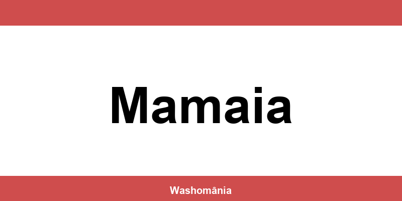 Spălătorie Auto NON-STOP Mamaia – contact și telefon