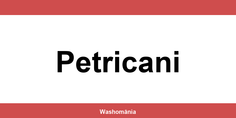 Spălătorie Auto NON-STOP Petricani – contact și telefon