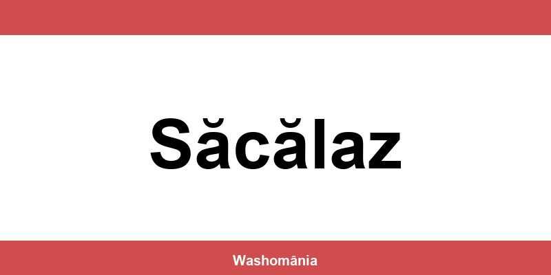 Spălătorie Auto NON-STOP Săcălaz – contact și telefon